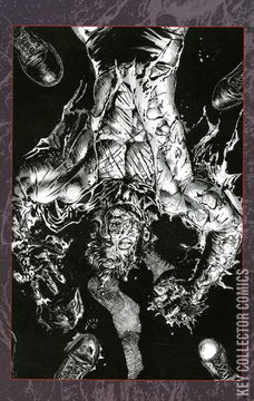 Variant Cover for The Boys #7