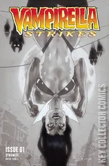 Variant Cover for Vampirella Strikes #1