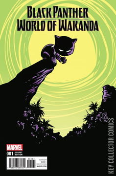 Variant Cover for Black Panther: World of Wakanda #1
