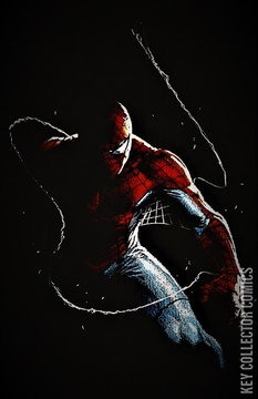 Variant Cover for Amazing Spider-Man #2