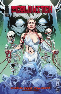 Cold Witch: A Tale of the Shrouded College, The #2