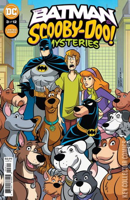 Batman and Scooby-Doo Mysteries, The
