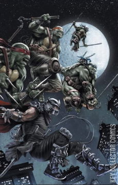 Variant Cover for Teenage Mutant Ninja Turtles: The Armageddon Game #1