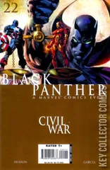 Cover for Black Panther #22