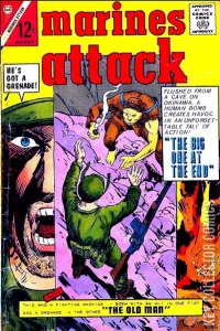 Marines Attack #2