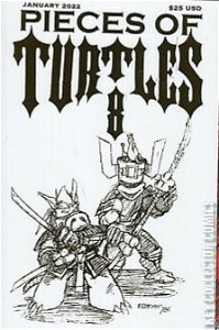 Pieces of Turtles 8 #2 