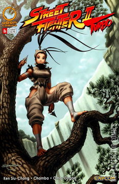 Variant Cover for Street Fighter II Turbo #8