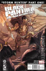 Variant Cover for Black Panther: The Man Without Fear #519
