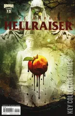 Cover for Hellraiser #12