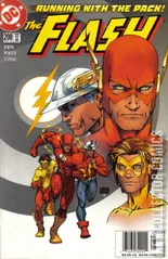 Variant Cover for Flash #208