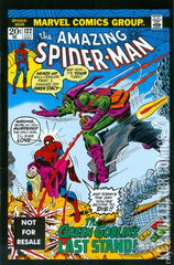Variant Cover for Amazing Spider-Man #122
