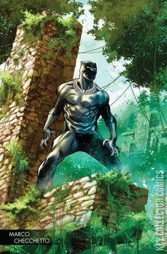 Variant Cover for Black Panther #170
