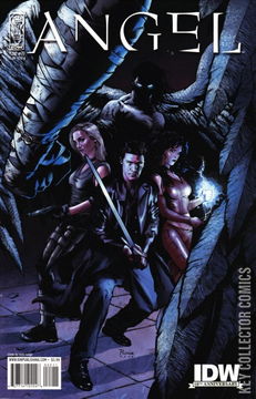 Variant Cover for Angel: After the Fall #22