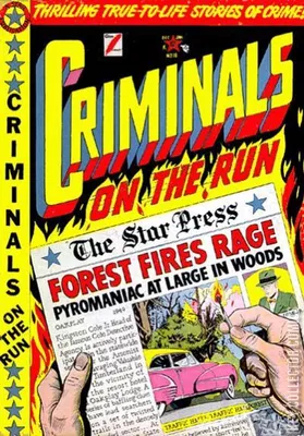 Criminals on the Run