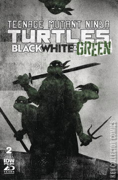 Variant Cover for Teenage Mutant Ninja Turtles: Black, White & Green #2