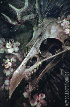 Variant Cover for Locke and Key / The Sandman Universe: Hell and Gone #1