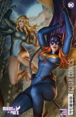 Variant Cover for Birds of Prey #9