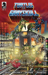 Variant Cover for Turtles of Grayskull #2