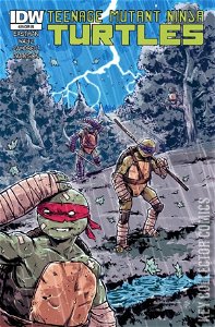 Teenage Mutant Ninja Turtles #29