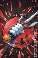 Variant Cover for Thundercats: Lost #10