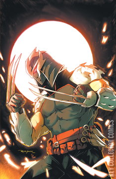 Variant Cover for Teenage Mutant Ninja Turtles: Shredder #5