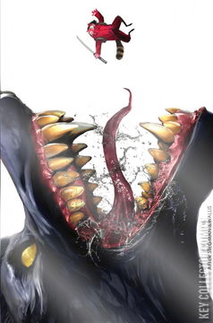 Variant Cover for Little Red Ronin #1