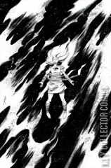 Variant Cover for Cheetara: Worldbreaker #1