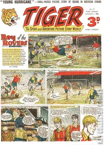 Tiger #17