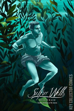 Variant Cover for Sulfur Wells #1