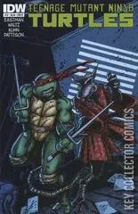 Variant Cover for Teenage Mutant Ninja Turtles #13