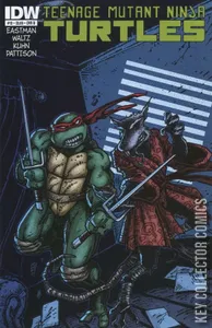 Teenage Mutant Ninja Turtles #13