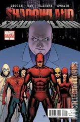 Variant Cover for Shadowland #2