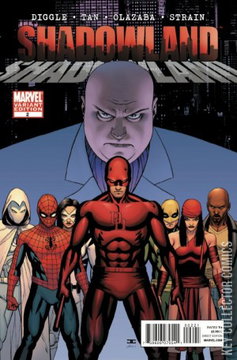 Variant Cover for Shadowland #2