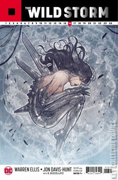 Variant Cover for The Wild Storm #16