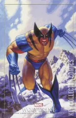 Variant Cover for Wolverine: Madripoor Knights #2