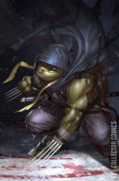 Variant Cover for Teenage Mutant Ninja Turtles: Jennika #1