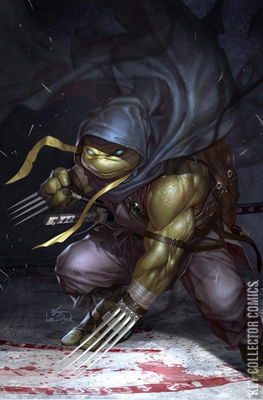 Teenage Mutant Ninja Turtles: Jennika