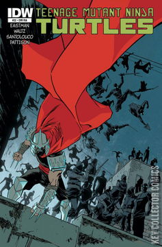 Variant Cover for Teenage Mutant Ninja Turtles #22