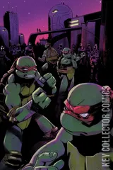 Cover for Teenage Mutant Ninja Turtles: Journeys #6