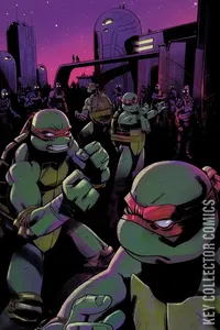 Teenage Mutant Ninja Turtles: Journeys #6