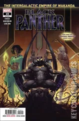 Cover for Black Panther #19