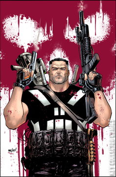 Variant Cover for Marvel Knights: Punisher #1