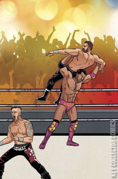Variant Cover for WWE #3