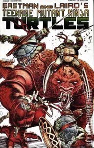 Teenage Mutant Ninja Turtles #43