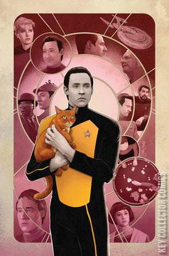 Variant Cover for Star Trek #17