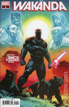 Variant Cover for Wakanda #1