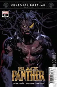 Black Panther #23
