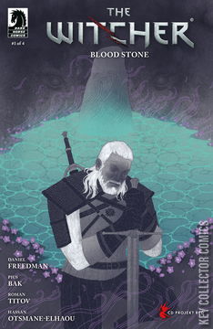 Variant Cover for The Witcher: Blood Stone #1