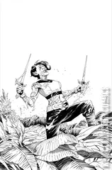 Variant Cover for Thundercats: Lost #6