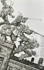 Variant Cover for Teenage Mutant Ninja Turtles #106
